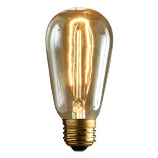 60W 120 Volt Edison Light Bulb by LumiSource