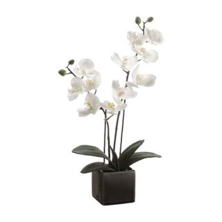 Tori Home Artificial Phalaenopsis Orchid Plant in Ceramic Pot