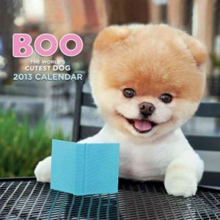 Boo; The Life of the Worlds Cutest Dog