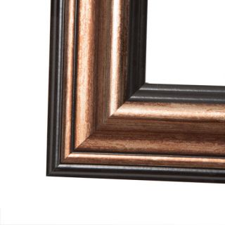 Rayne Mirrors Antique Canyon Bronze and Black Wall Mirror