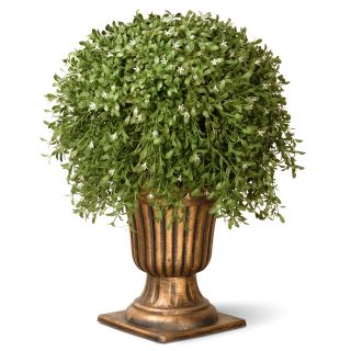 26 in. Argentia Plant with Gold Urn   Silk Plants