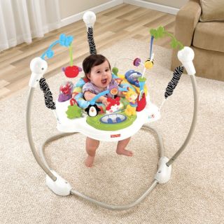 Discover n Grow Jumperoo   Exersaucers