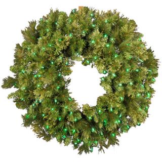 Pre Lit LED Blended Pine Wreath by Queens of Christmas