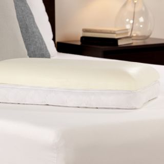 Lifestyle Now 2 in 1 Reversible Pillow