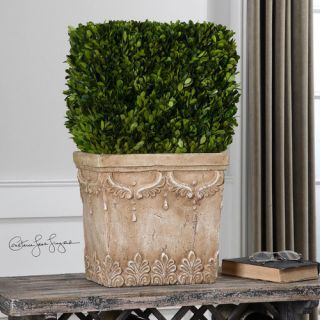 Boxwood Square Topiary in Planter