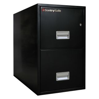 SentrySafe T3100 Insulated 2 Drawer Letter Vertical Filing Cabinet   31 Inch
