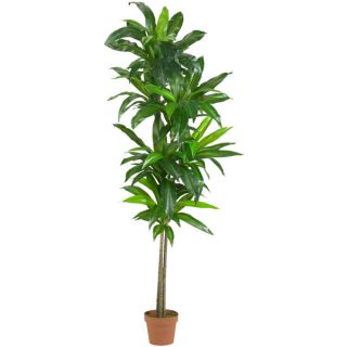 foot Dracaena Real Touch Silk Plant
