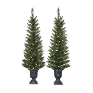 Cedar Pine Pre lit Potted Christmas Tree by Sterling Tree Company   Set of 2
