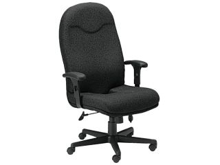 Mayline Comfort 9413AG High Back Executive Chair   Fabric Black Seat   27" x 27.3" x 48.3" Overall Dimension