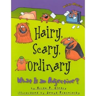 Hairy, Scary, Ordinary What Is an Adjective?