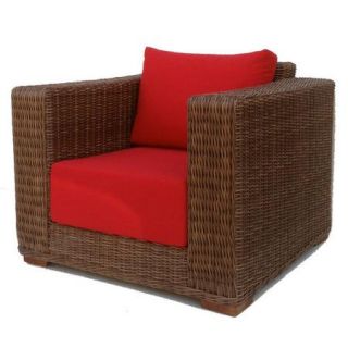 ElanaMar Designs Santa Barbara Lounge Chair with Cushions