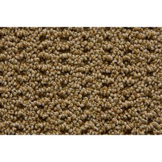 STAINMASTER Trusoft Stainmaster Gallery Galley Multi Level Loop Pile Indoor Carpet