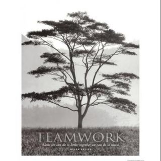 Teamwork Poster Print by Dennis Frates (12 x 15)