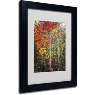 Trademark Fine Art "Color Touch" Canvas Art by Philippe Sainte Laudy, Black Frame