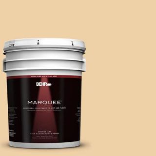 BEHR MARQUEE Home Decorators Collection 5 gal. #HDC CT 01 Amber Moon Flat Exterior Paint 445405