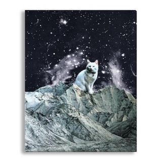 Gallery Direct Seeing Stars 'Wizard' by Beth Hoeckel Gallery Wrapped Canvas