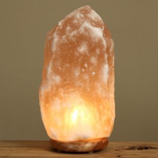WBM 12 inch Himalayan Natural Crystal Salt Lamp  