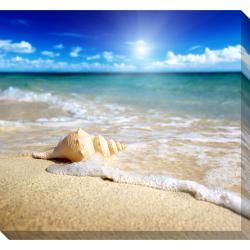 Starfish on the Beach Oversized Gallery Wrapped Canvas