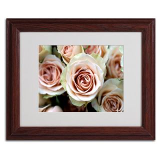 Trademark Art Pale Pink Roses by Kathy Yates Photographic Print on
