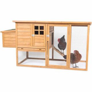 Flat Top Complete Chicken Coop
