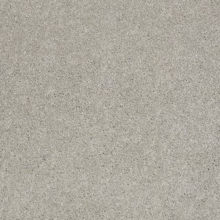 STAINMASTER Active Family Supreme Delight March Winds Textured Indoor Carpet