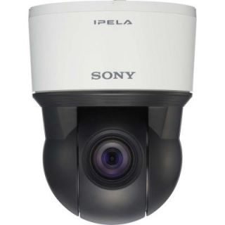 SONY Wired 520 TVL Indoor Network Monochrome Camera SNCEP520