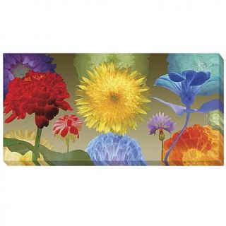Robert Mertens "Sunflower Fireworks" Gallery Wrapped Giclee Canvas Wall Art   Medium   7871650