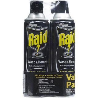 Raid Wasp & Hornet Killer (14 Ounces, 2 count)