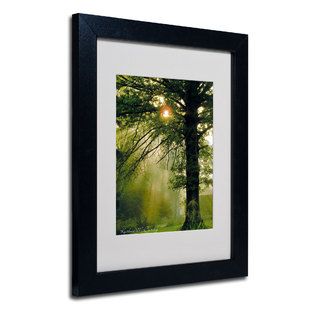 Trademark Fine Art Kathie McCurdy Magical Tree Matted Framed Art
