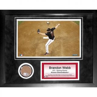 Brandon Webb Diamondback Dirt Collage by Steiner Sports