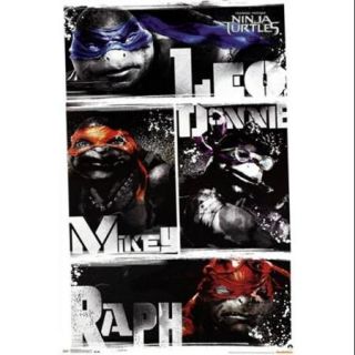 Ninja Turtles   Blur Poster Print (24 x 36)