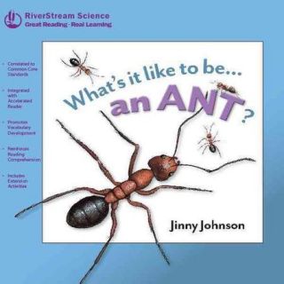 Whats It Like to Bean Ant