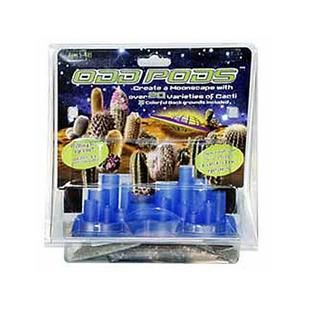 DuneCraft Odd Pods Cacti Growing Kit   Toys & Games   Learning