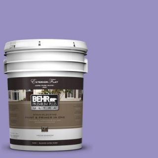 BEHR Premium Plus Ultra 5 gal. #PPU16 5 Lily Of The Nile Flat Exterior Paint 485405