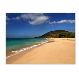 Pierre Leclerc Hawaii Blue Beach Canvas Art