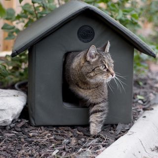 Outdoor Heated Kitty House   Shopping   The s