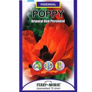Ferry Morse Poppy Oriental Red Perennial Seed 1127