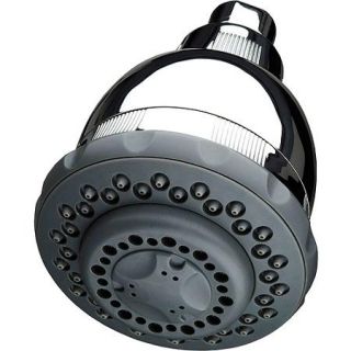 Culligan Filtered Wall Mount Showerhead With Massage WSH C125