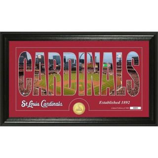 St. Louis Cardinals Silhouette Bronze Coin Panoramic Photo Mint