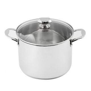 Wolfgang Puck 8 Quart Stainless Steel Stockpot with Lid   7517196