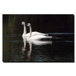 Kurt Shaffer Twin Swans Canvas Art   Shopping