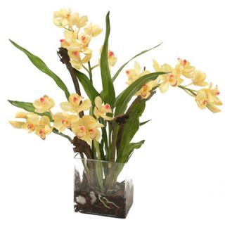 Distinctive Designs Silk Orchid Plant in Rectangular Vase
