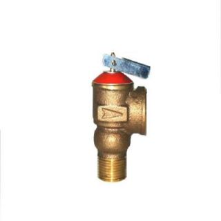 3/4 in. Steam Relief Valve 13 211 08