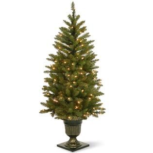 National Tree Company 4.5 ft. Dunhill Fir Entrance Tree with Clear