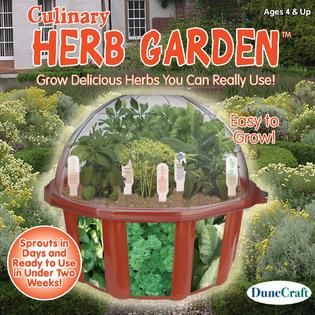 DuneCraft Herb Gardn Dome Terrariums   Home   Crafts & Hobbies   Kids