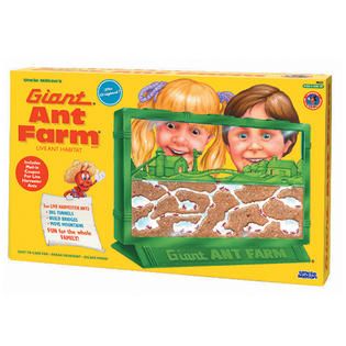 Uncle Milton Giant Ant Farm   Toys & Games   Learning & Development