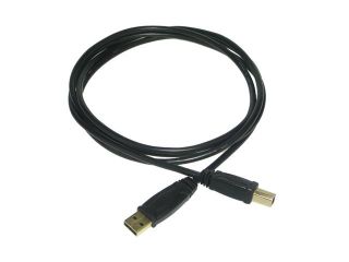 GoldX GP620 06 6 ft. Black USB A TO B Cable