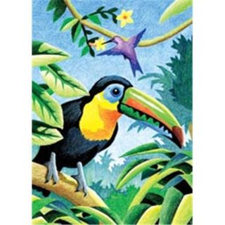 Royal Brush 324675 Mini Colour Pencil By Number Kit 5 inch x 7 inch  Tropical Birds
