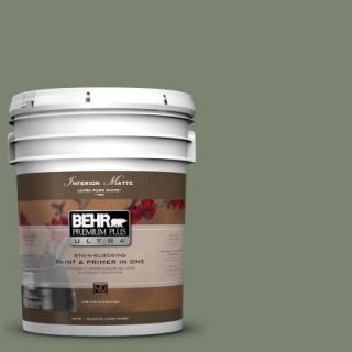 BEHR Premium Plus Ultra 5 gal. #PPU11 18 Cactus Garden Flat/Matte Interior Paint 175305