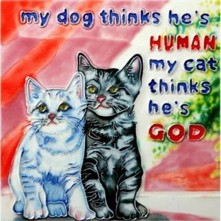 En Vogue B 276 My Dog thinks hes Human. . . My Cat thinks hes God.   Decorative Ceramic Art Tile   8 inch x 8 inch